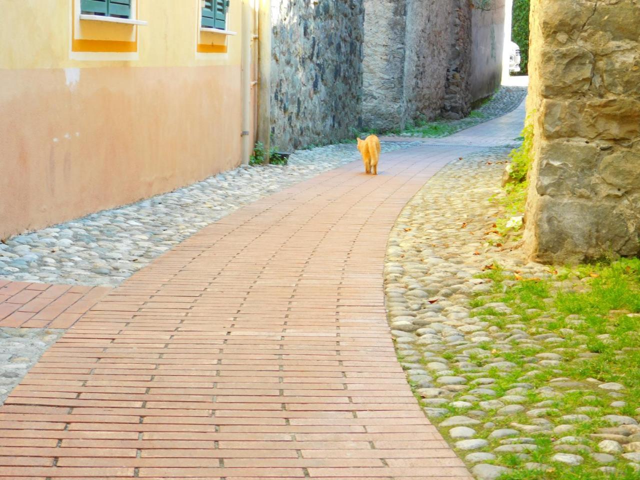 Apartament Bellissima Casa Nel Centro Storico!!! Levanto Zewnętrze zdjęcie